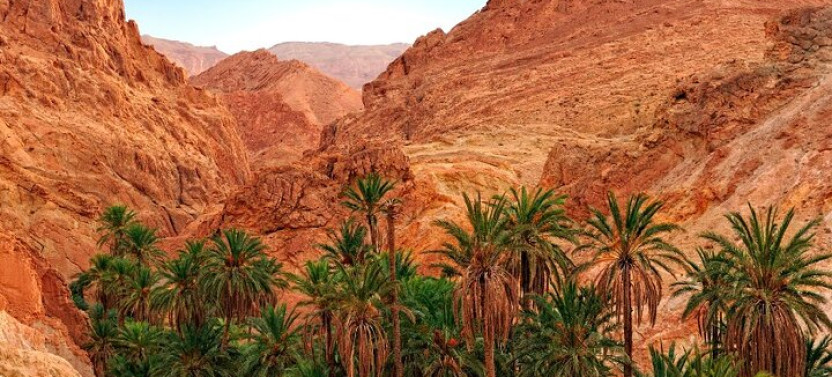 Star Wars Adventure and Tunisian Treasure Tour 8 Days