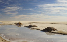 Wonderful Tunisia4