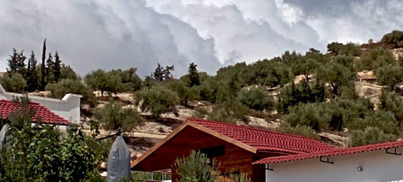 Archaeological and Culinary Treasure with Olive Oil Tasting