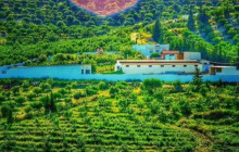 Wonderful Tunisia1
