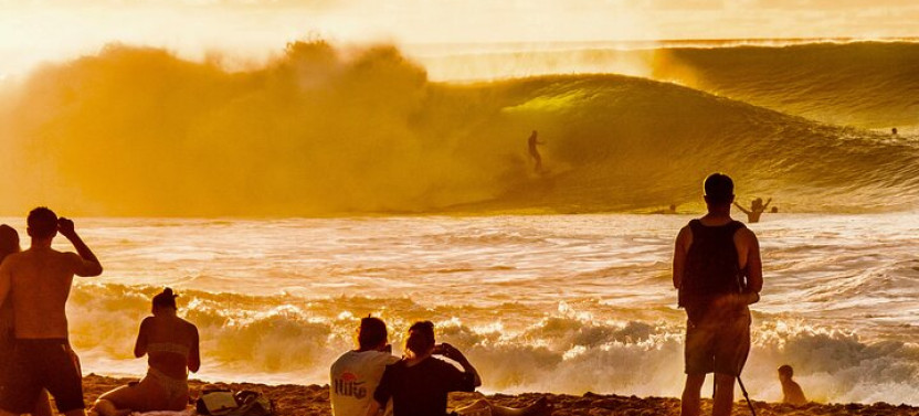 Stunning Views Of Oahu! Half-day To North Shore On A Scenic Tour
