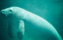 Watersports Port Vila4