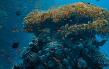 Watersports Port Vila1