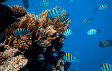 Watersports Port Vila1