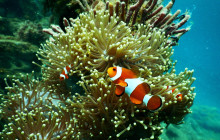 Watersports Port Vila5