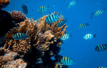 Watersports Port Vila6