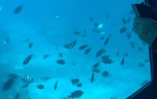 Watersports Port Vila9