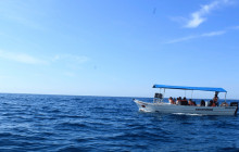 Glass Bottom Boat Tour