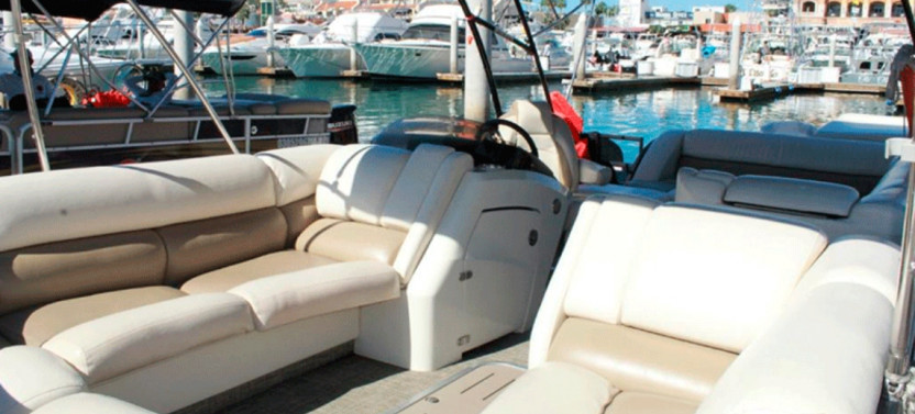 Private Luxury Whale Watching & Arch Tour (2-Hours)