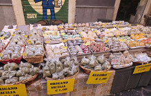 Sicily Excursions by Noema Viaggi - Day Tours8