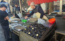 Sicily Excursions by Noema Viaggi - Day Tours41