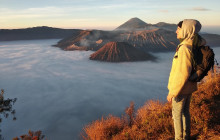 Cheap Bromo1