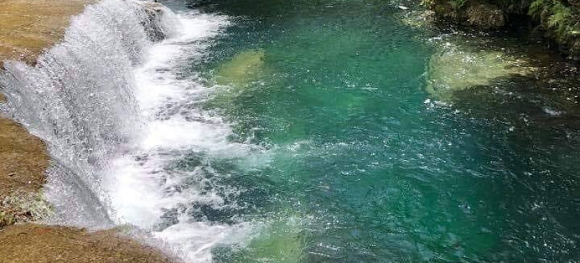 Half Day Tour In Blue Lagoon And Eden