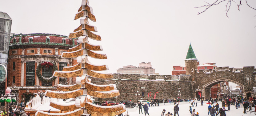 Gourmet Tour at the German Christmas Market