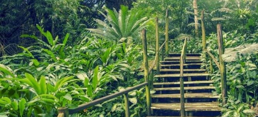 Best of Nadi Sightseeing Tour