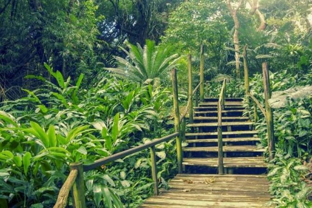 Best of Nadi Sightseeing Tour