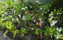 Valentine Travel Tours PTE LTD12