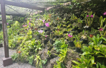 Valentine Travel Tours PTE LTD15