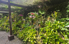 Valentine Travel Tours PTE LTD17