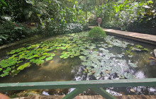 Valentine Travel Tours PTE LTD18