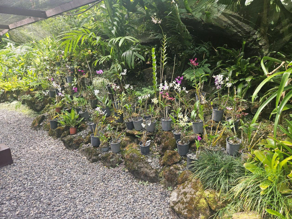 Valentine Travel Tours PTE LTD