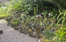 Valentine Travel Tours PTE LTD20