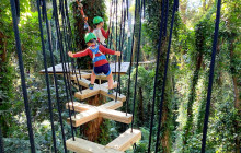 Tree Top Challenge3