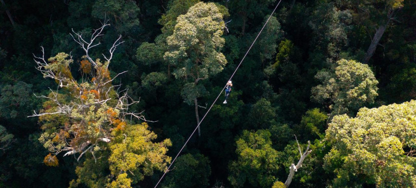 Canyon Flyer Guided Zipline Tour