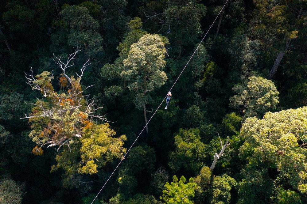 Canyon Flyer Guided Zipline Tour