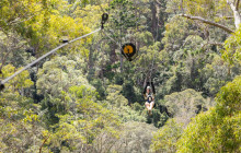 Tree Top Challenge7