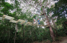 Tree Top Challenge8