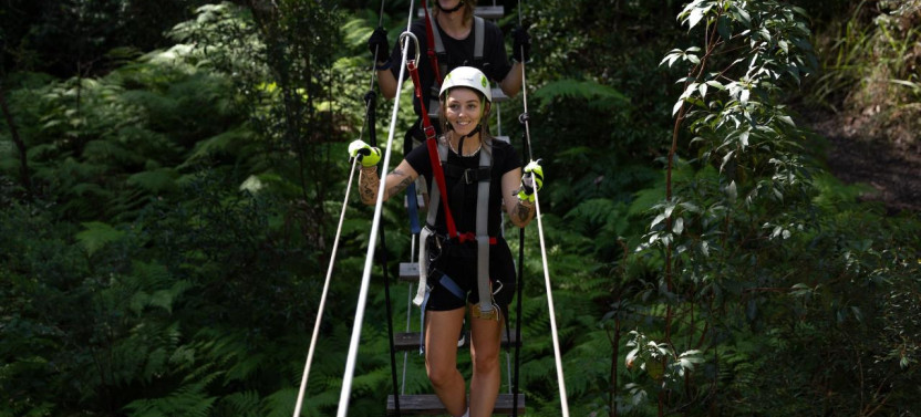 Treetop Zipline Challenge: Tamborine Mountain Adventure Park