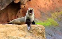 Adventure by Nature11