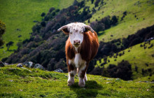 Adventure by Nature14