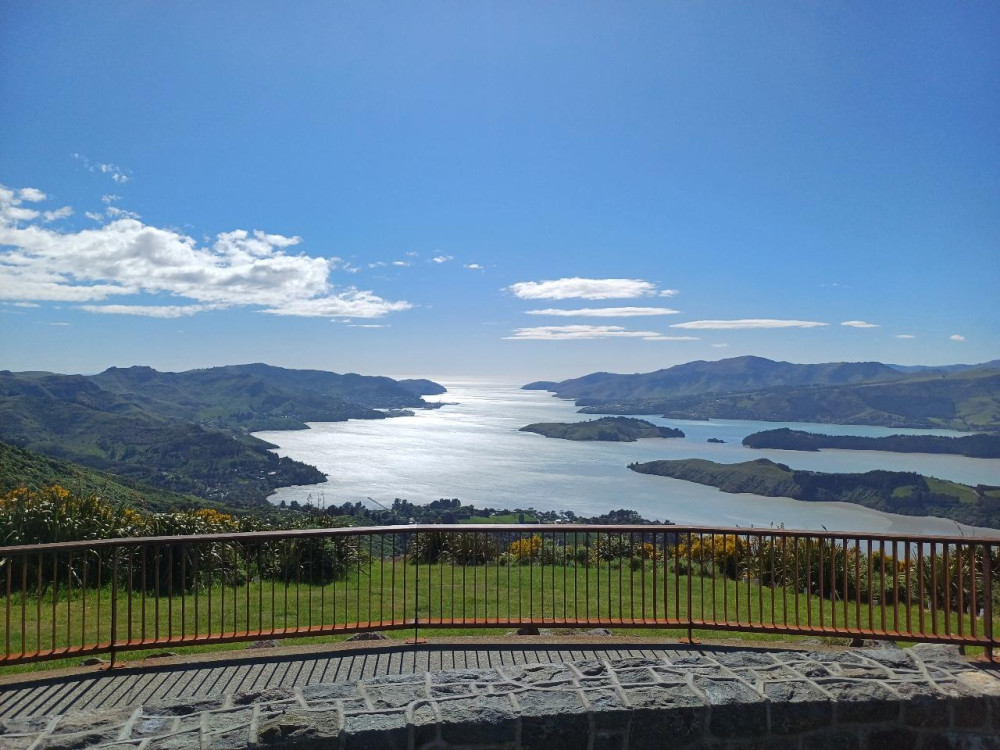 Private Half Day Christchurch Scenic Highlights Tour