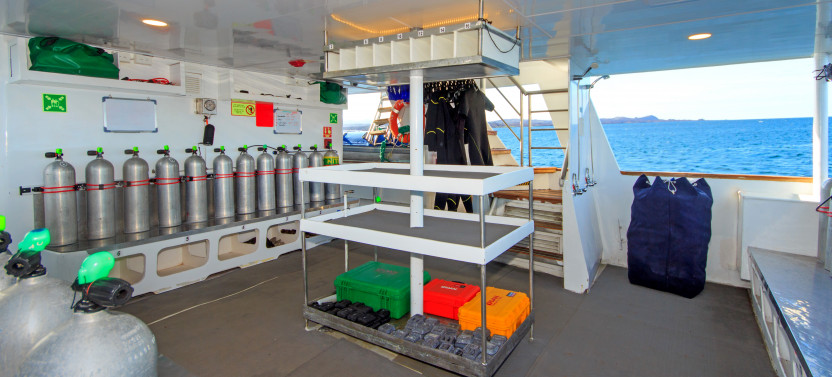 The Galapagos Aqua: 8D/7N (Liveaboard Dive Cruise) (Route A)