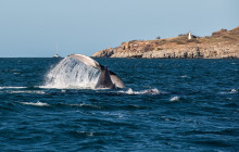 Maui Ocean Charters18