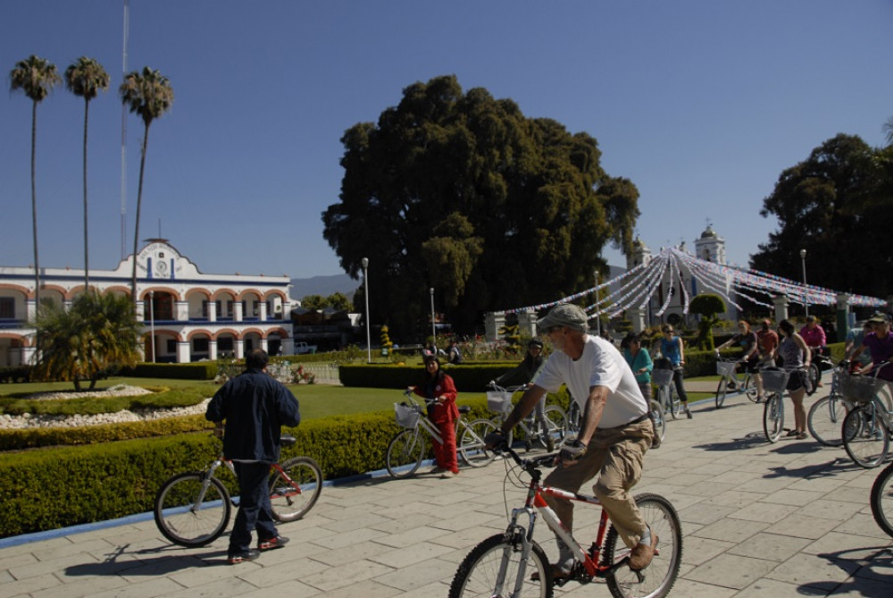 Oaxaca: The Tule village by Bicycle