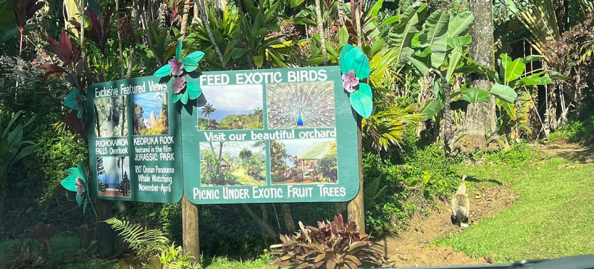 Rappel Maui Tour - 8:00 AM