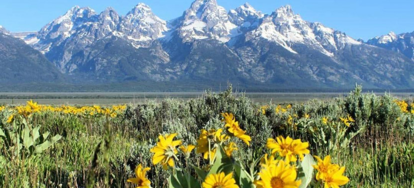 Grand Teton: Private Summer Family Adventure