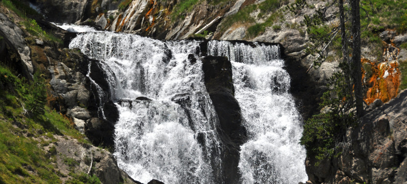 Yellowstone: Private Hiking & Sightseeing Tour