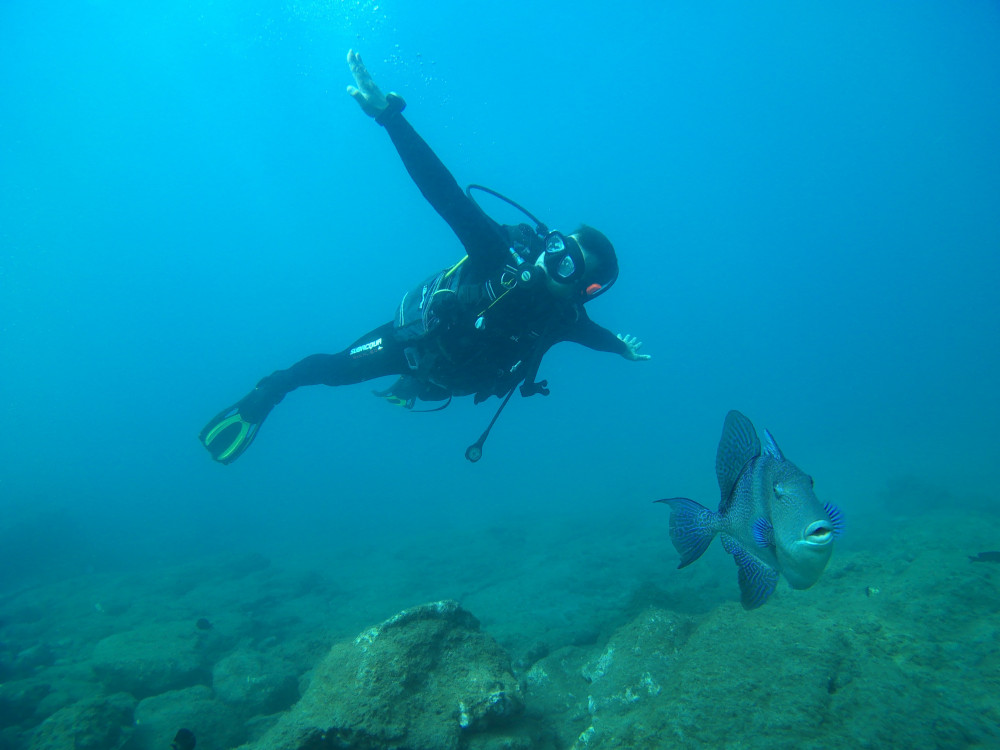 PADI Diving Course Open Water Diver Santa Cruz de Tenerife Project