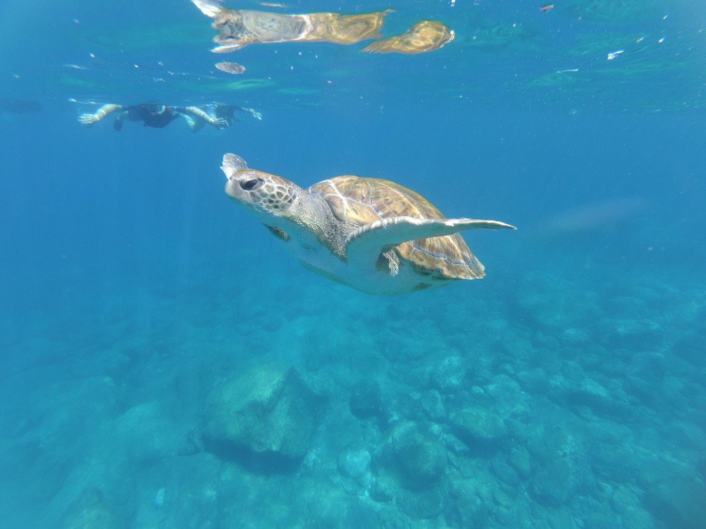 Diving & Kayaking Atlantis