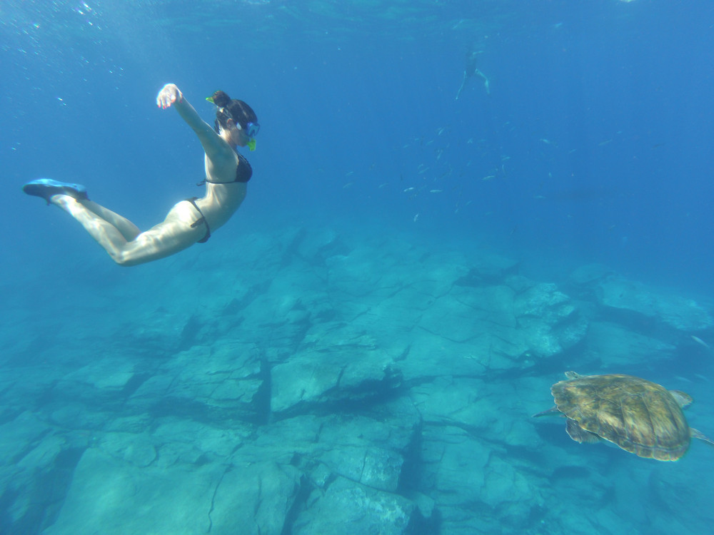 Snorkeling With Turtles By Kayak