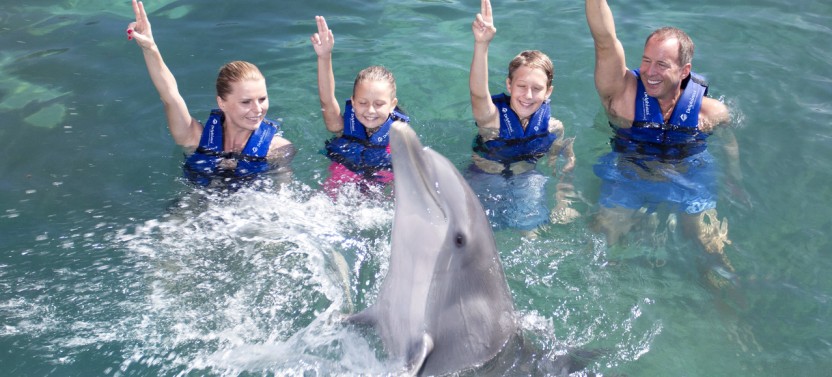 Punta Cancun Delphinus: Primax