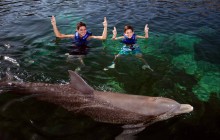 Puerto Morelos Delphinus: Couples Dreams