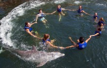 Riviera Maya Delphinus: Dolphin Ride