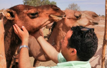 3 Day Merzouga Desert Shared Tour from Marrakech
