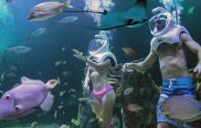 Interactive Aquarium Cancun: Premium Package