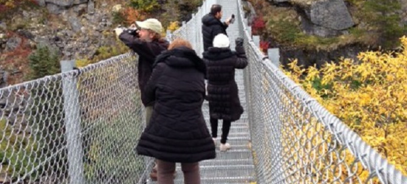 Yukon Suspension Bridge and Summit Tour from Skagway